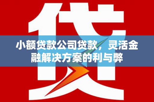 福海小额贷款公司贷款，灵活金融解决方案的利与弊