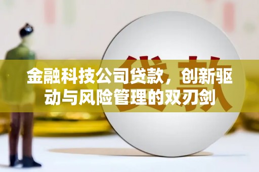 福海金融科技公司贷款，创新驱动与风险管理的双刃剑